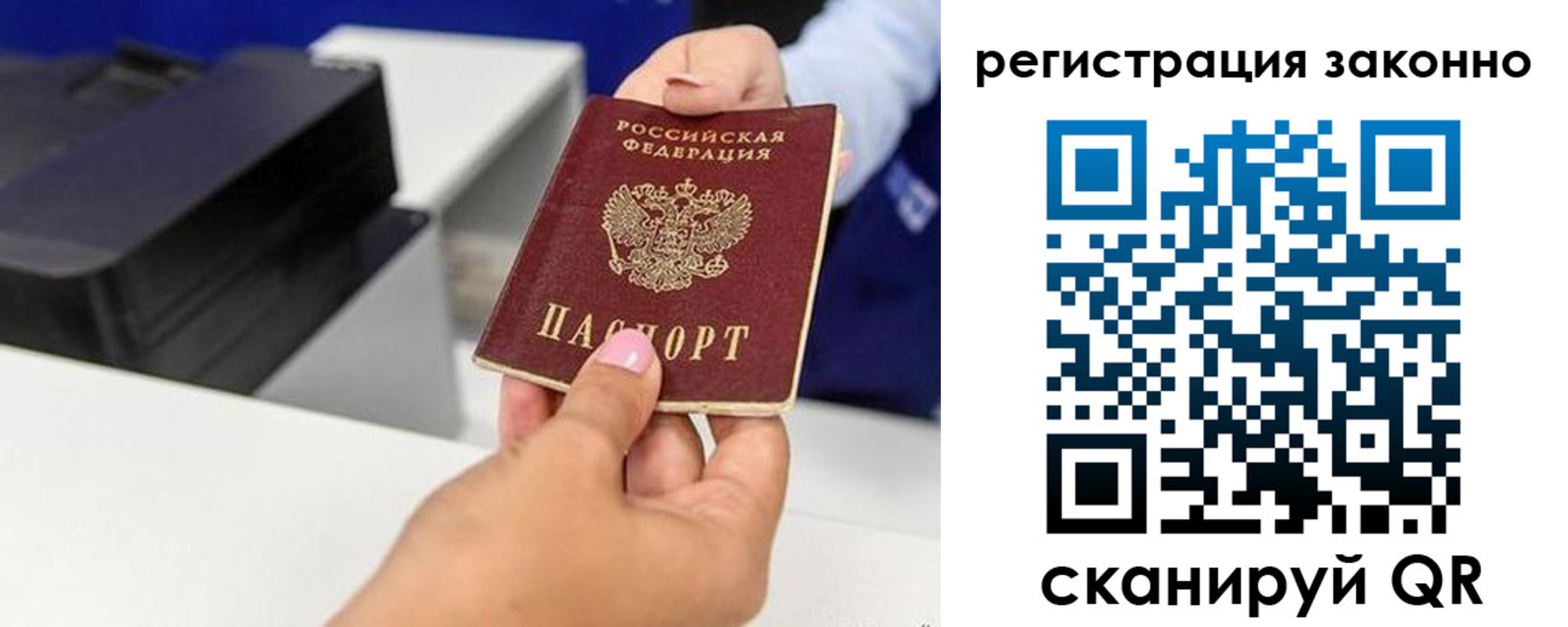 прописка для школы в Невеле